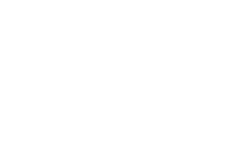 Brew & Bloom