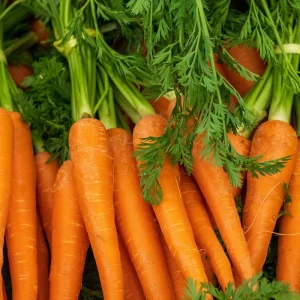 Sweet Organic Carrots