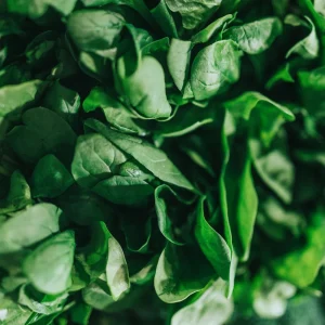 Fresh Baby Spinach